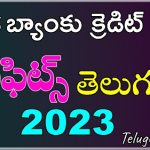 axis bank credit cards benefits in telugu 2023