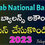 pnb zero balance account opening online in telugu 2023