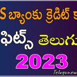 dbs bank best credit cards in telugu 2023
